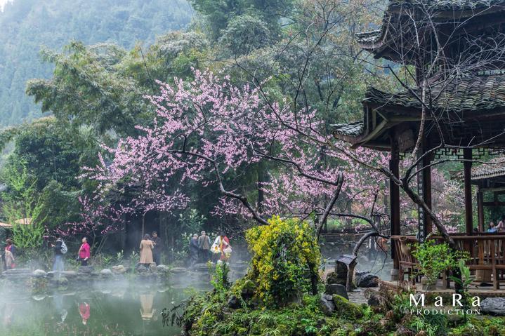 移动的靶心5