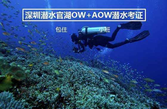 倩女幽魂手游